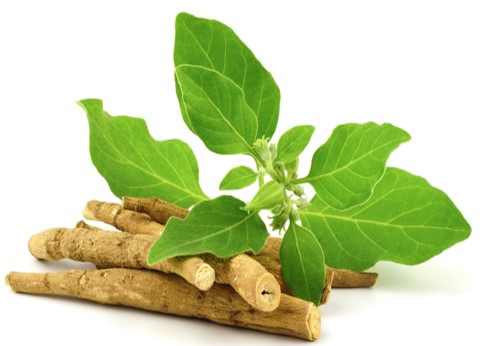 Ashwagandha for Hormonal Balance: Women’s Health and Well-being