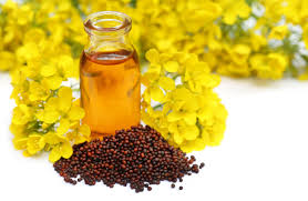 Mustard Oil Magic: A Versatile Oil for Your Health and Home